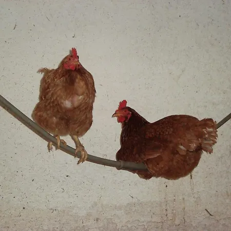 Lenzenbauer 別荘 *