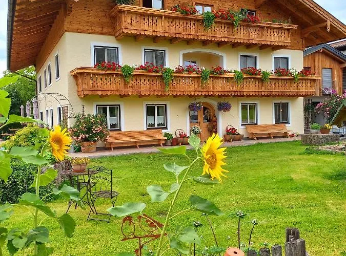 Lenzenbauer *