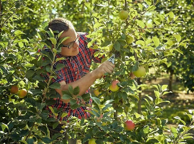 Lenzenbauer Nyaraló