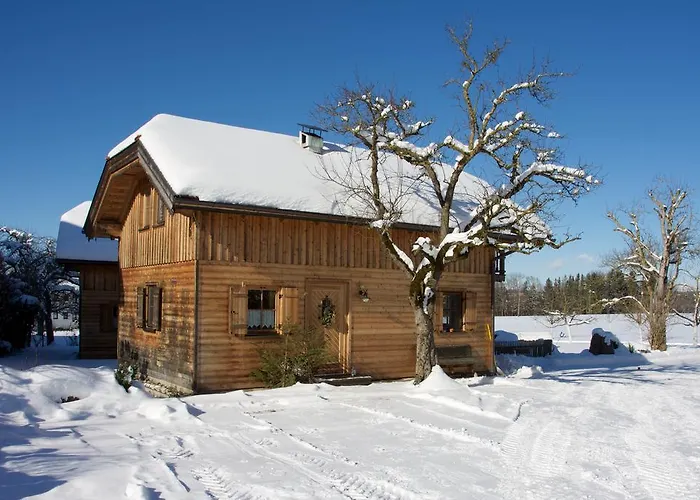 Lenzenbauer זלצבורג