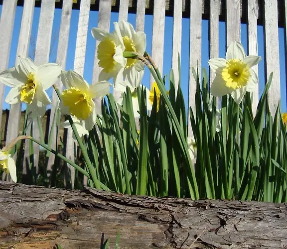 Lenzenbauer Nyaraló