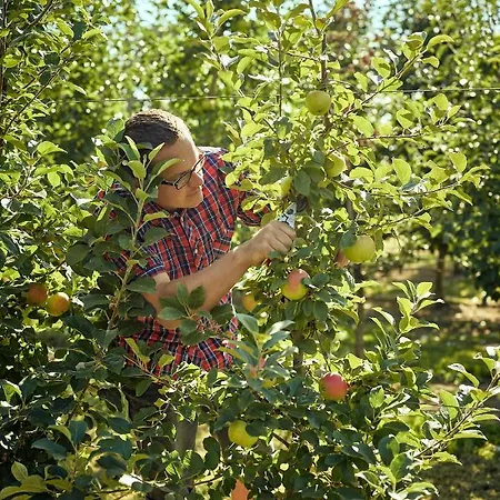Lenzenbauer Сasa de vacaciones