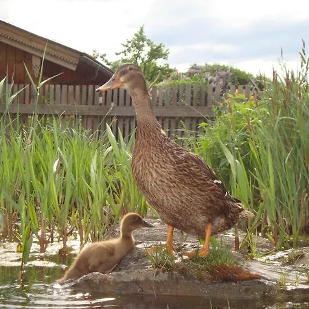 Сasa de vacaciones Lenzenbauer *
