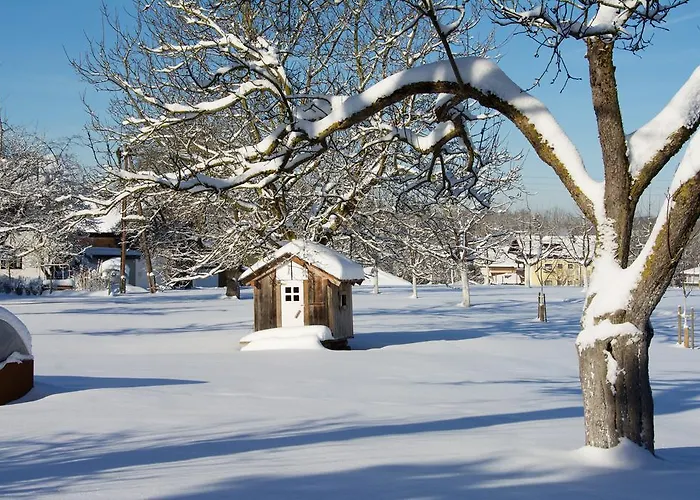 Feriehus Lenzenbauer