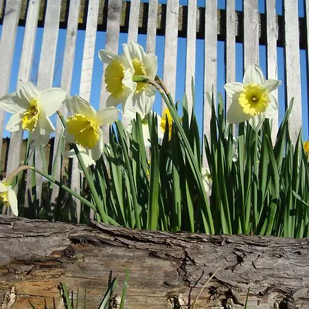 Lenzenbauer Holiday home